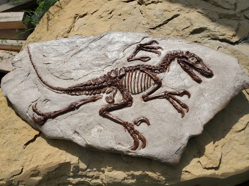 Technological Advances in Paleontology