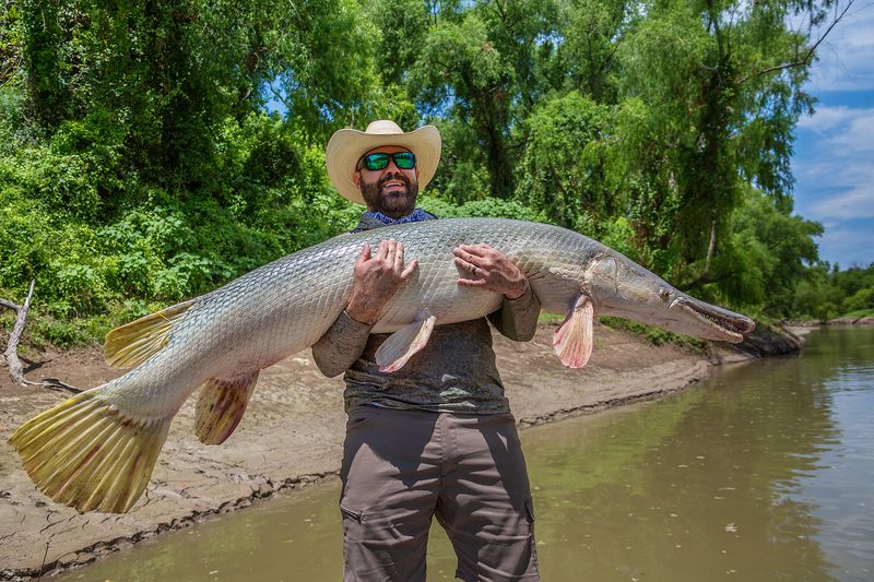 Texas: Alligator Gar