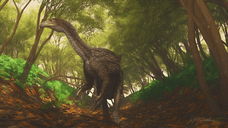 The Enigmatic Therizinosaurus