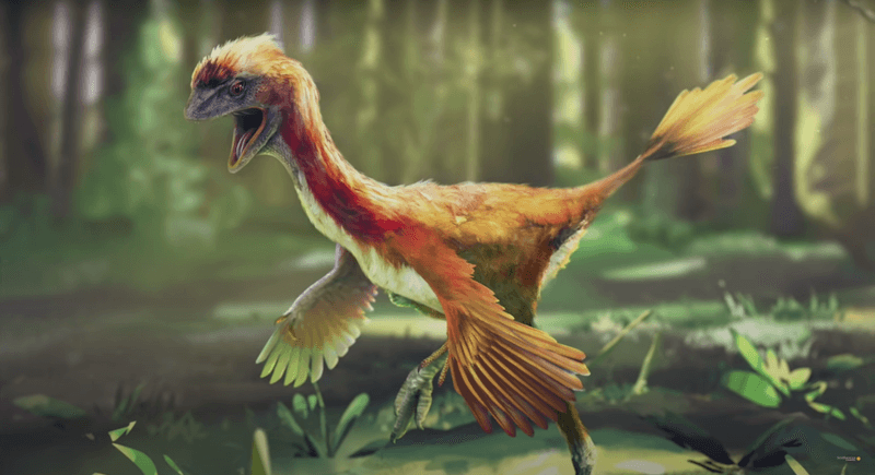 The Feathered Dinosaurs of Liaoning, China