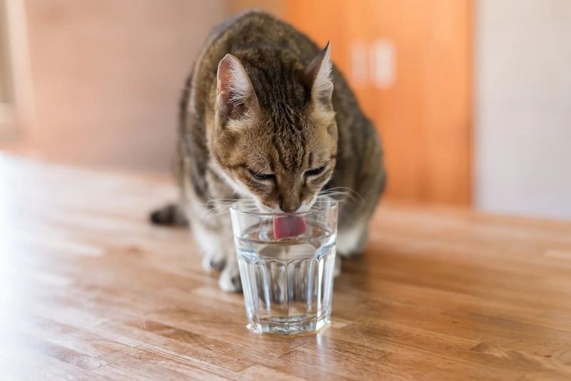 The Importance of Hydration