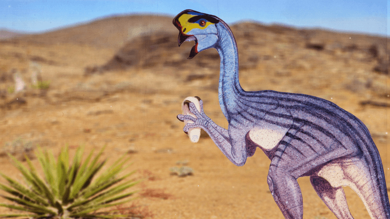 The Long-Lost Dinosaur Egg Thief: Oviraptor