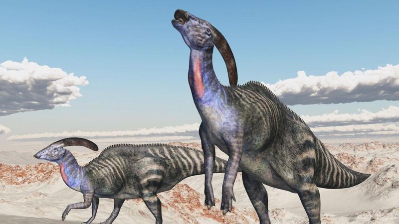 The Mystery of the Duck-Billed Dinosaur: Parasaurolophus