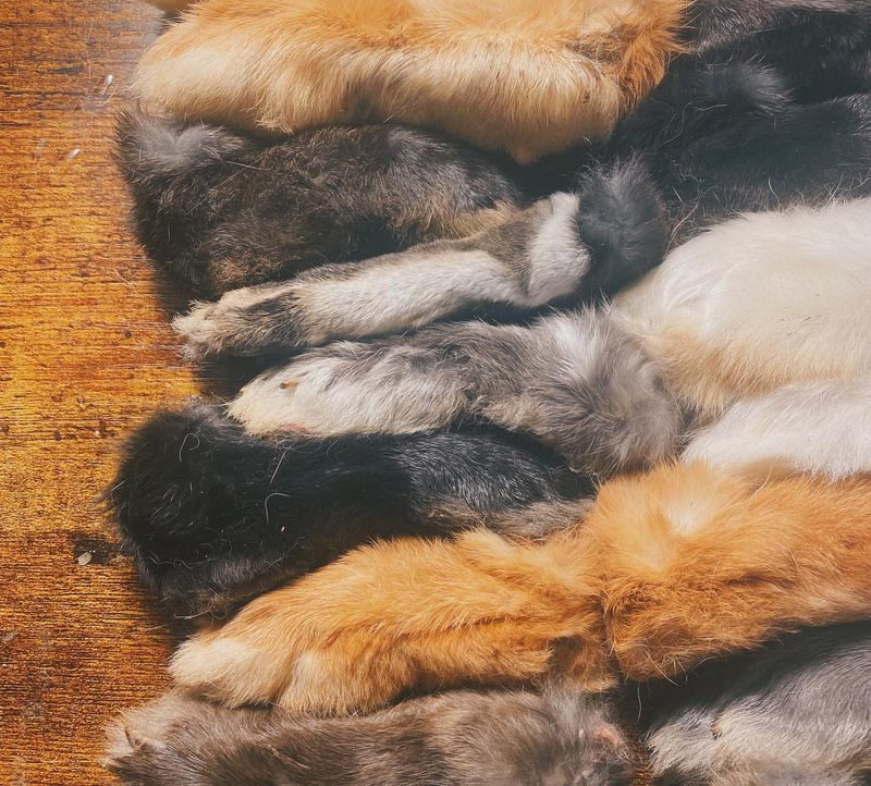 The Significance of Rabbit Feet