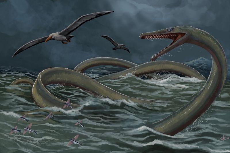 The Vermilion Sea Serpent