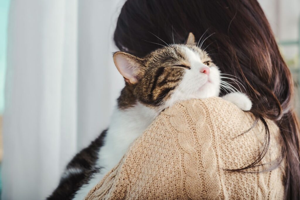 The cat enjoys being in the arms of a woman