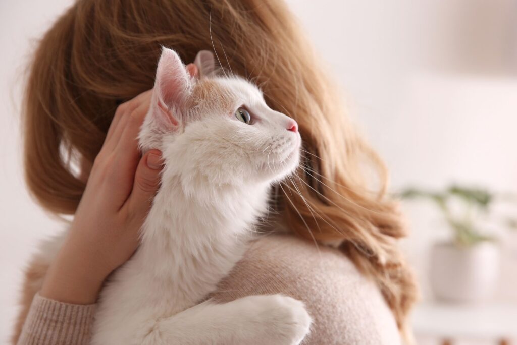 The girl is holding a white cat in her arms