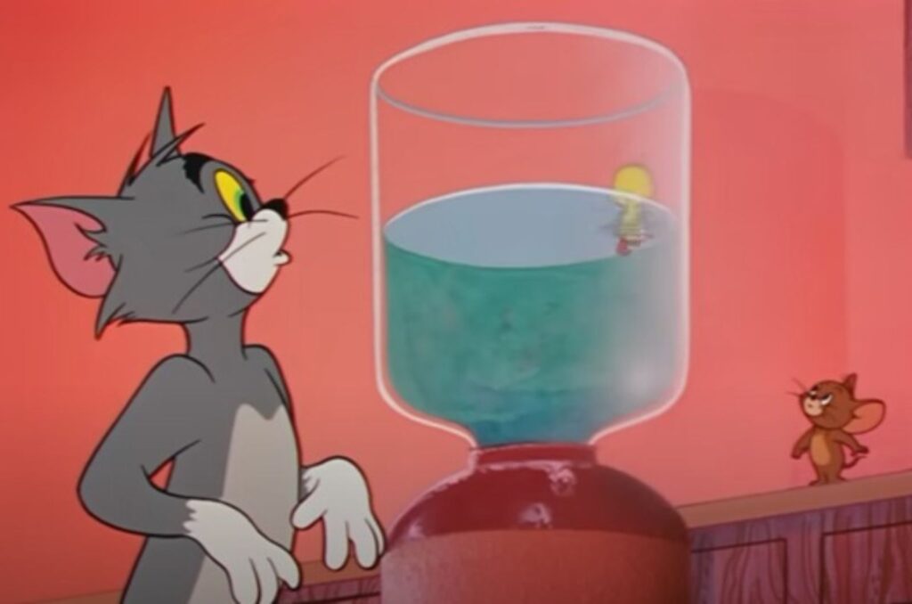 19 Fun And Surprising Things About Gray Tabby Cats
