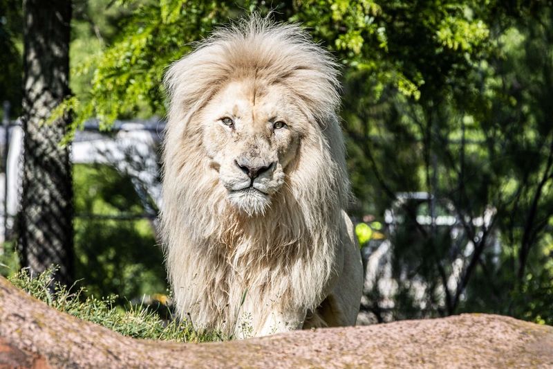 Toronto Zoo, Canada