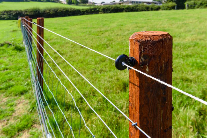 Use Electric Fencing