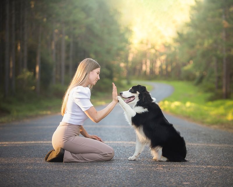 Use Positive Reinforcement Training