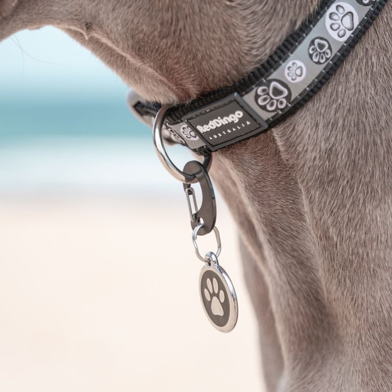 Use a Secure Collar and Tag