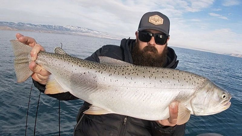 Utah: Lake Trout