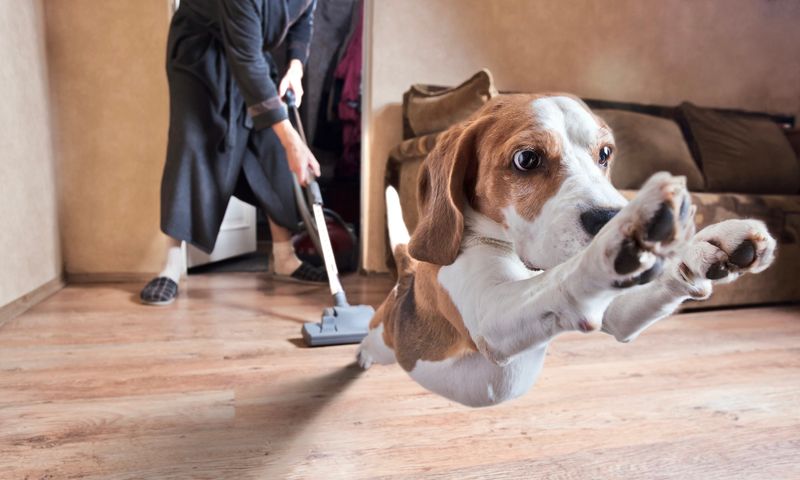 Vacuum and Clean Floors Often