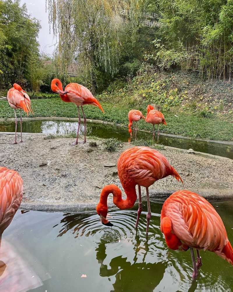 Vienna Zoo, Austria