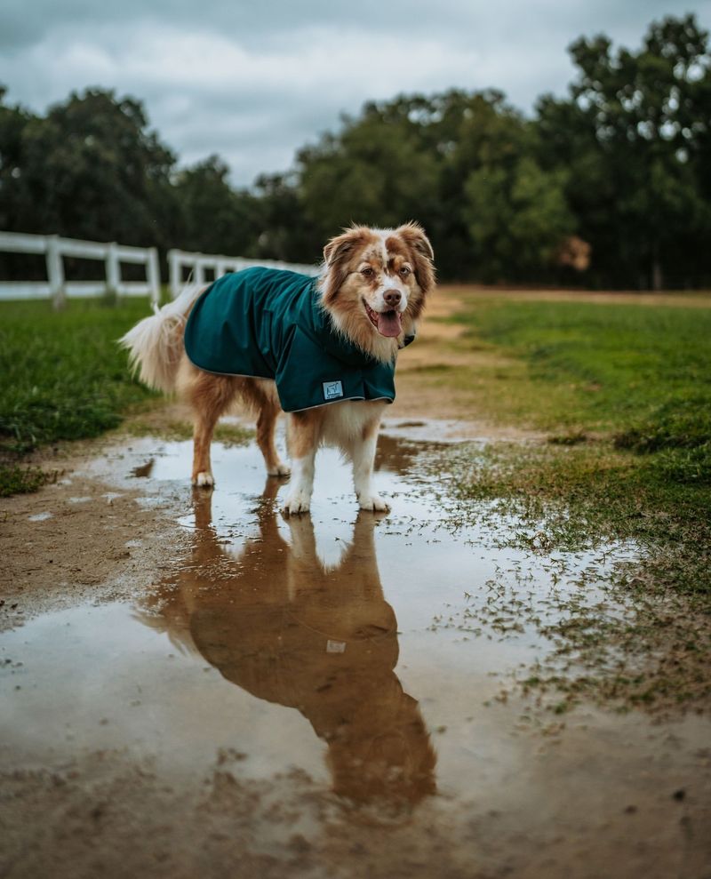 Weather Protection