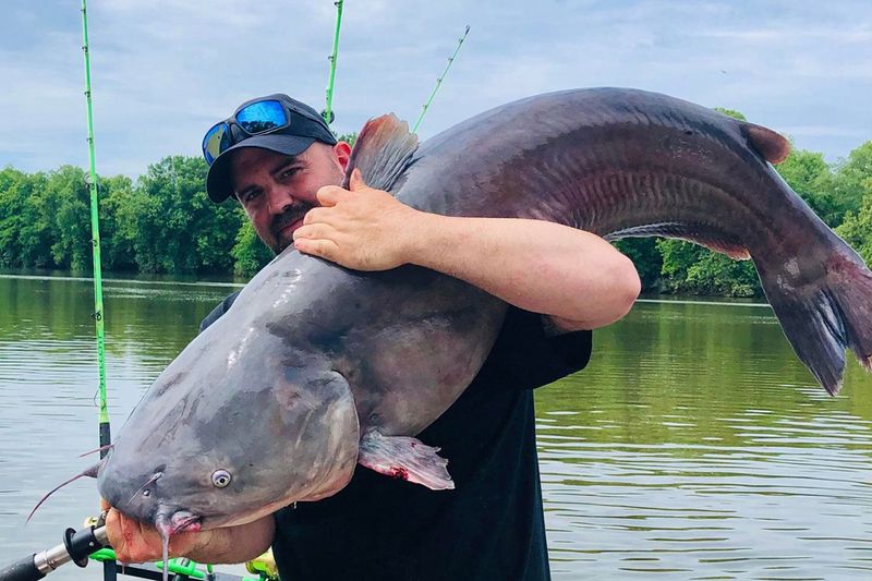 West Virginia: Blue Catfish