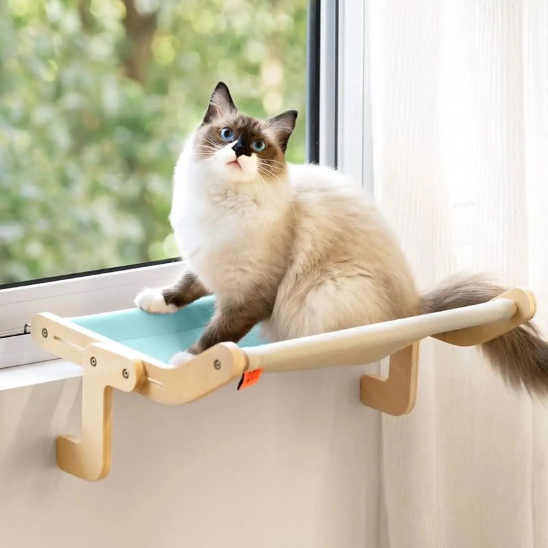 Window Perches