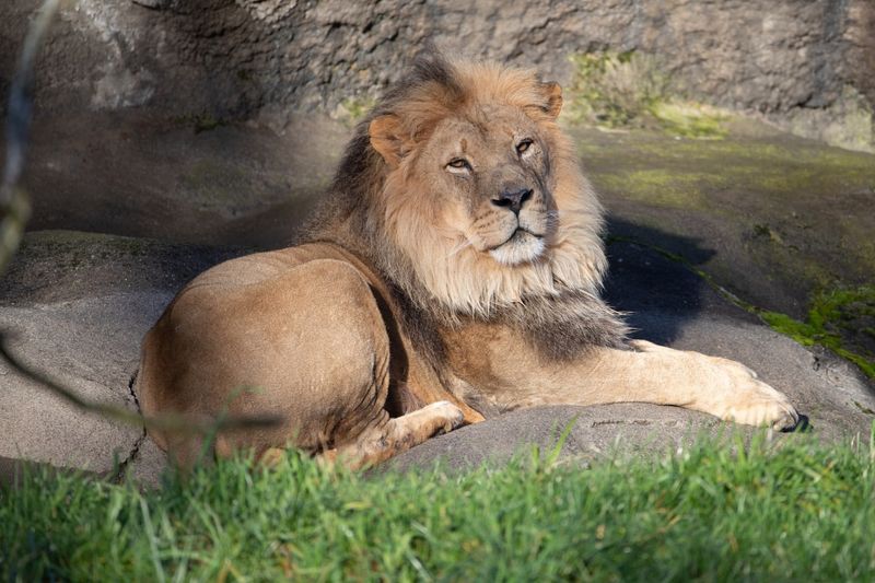 Woodland Park Zoo, Washington