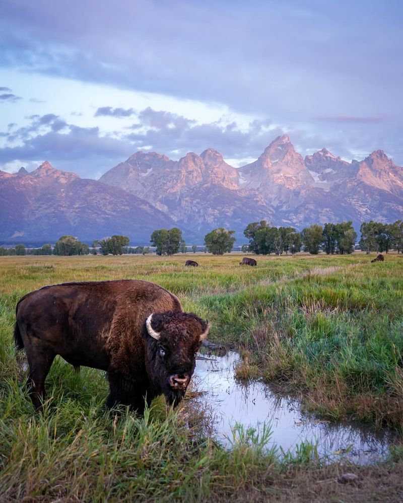 Wyoming