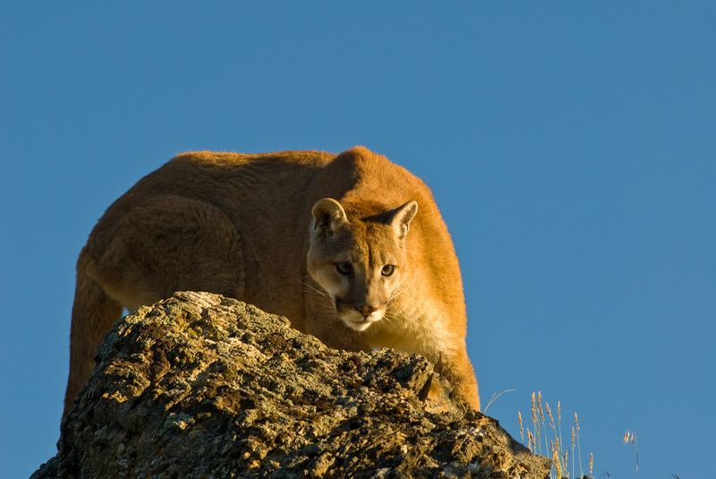 Wyoming