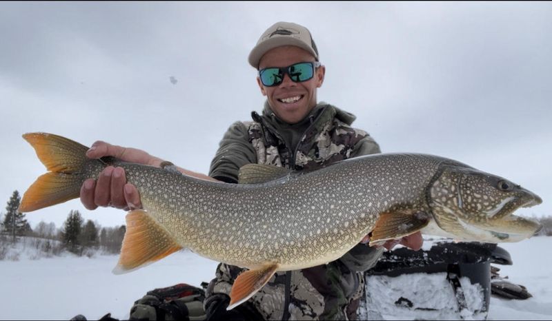 Wyoming: Lake Trout