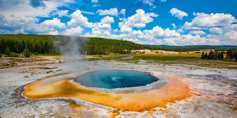 Yellowstone Microbes