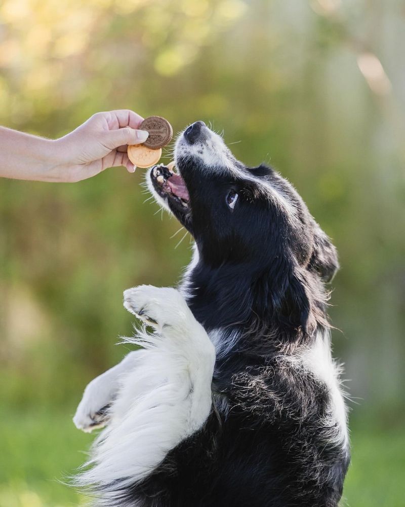 You’re a Natural Caregiver