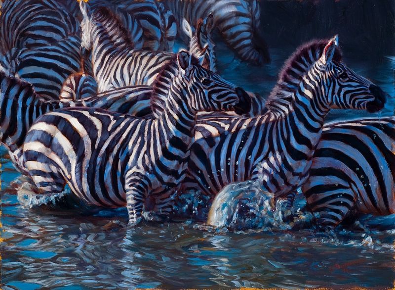 Zebras and Water: Quenching Thirst