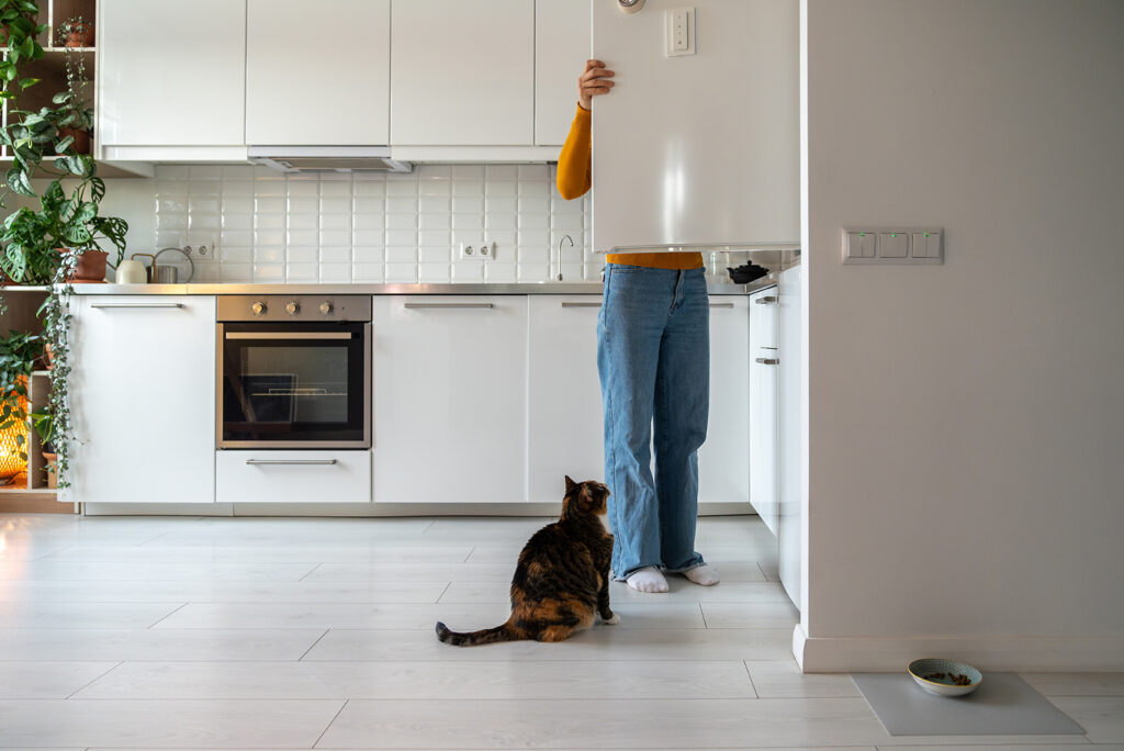 cat sits and watches woman open fridge