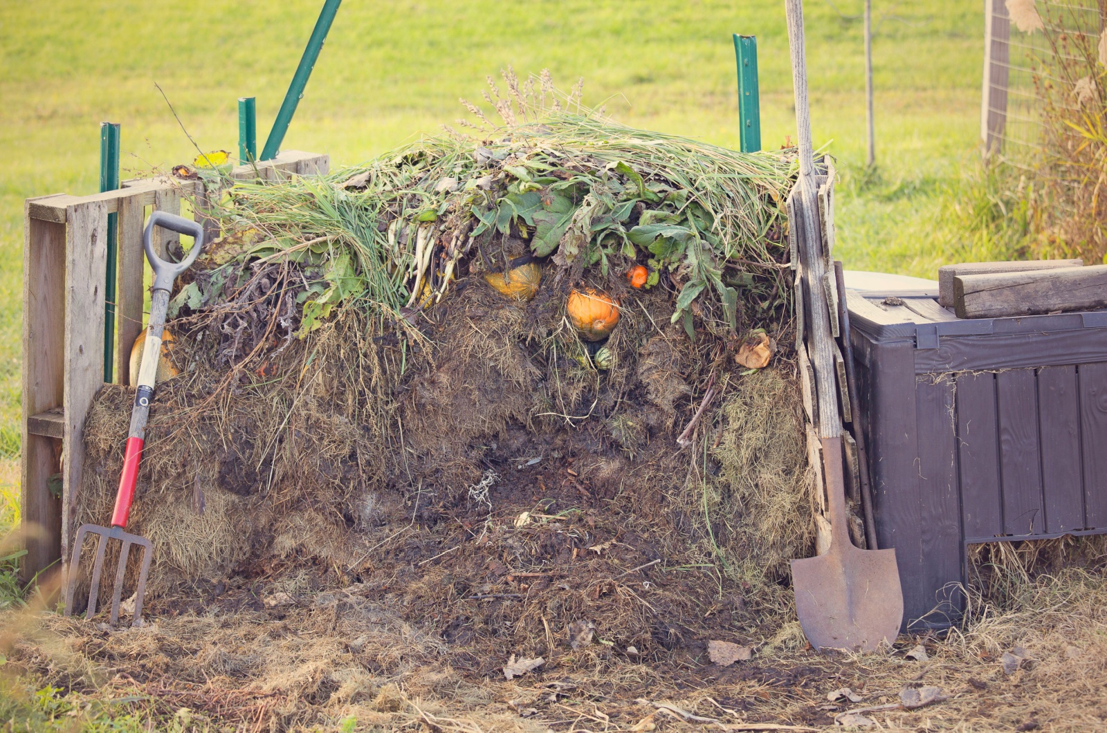 compost pile