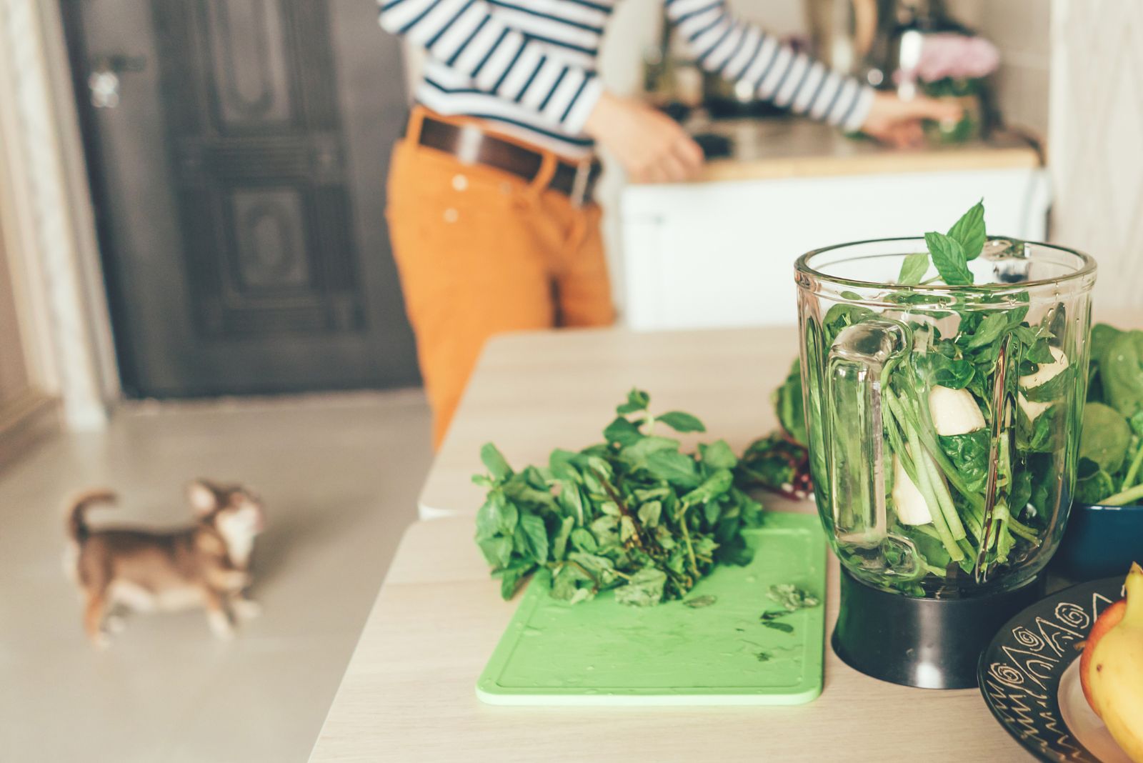 dog with man in the kitchen preparing smoothie