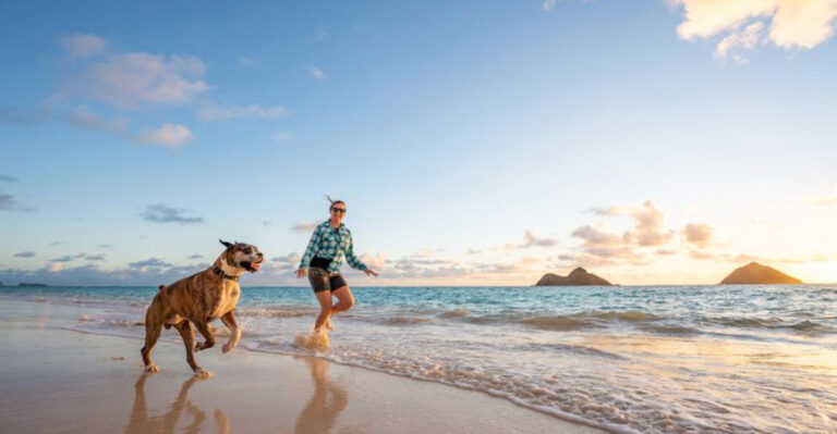 Honest Pros And Cons Of Living With A Big Dog By Your Side