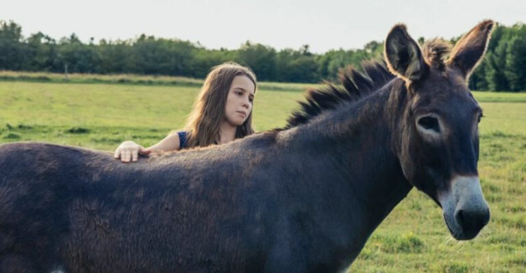 12 Benefits Of Adding A Donkey To Your Farm