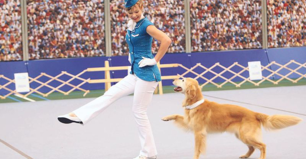 6 Unusual Dog Sports You Didn’t Know Existed