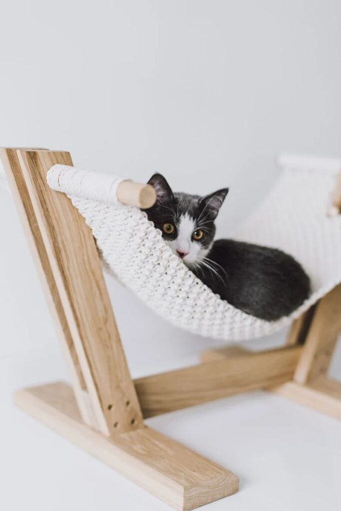 Pet Hammocks