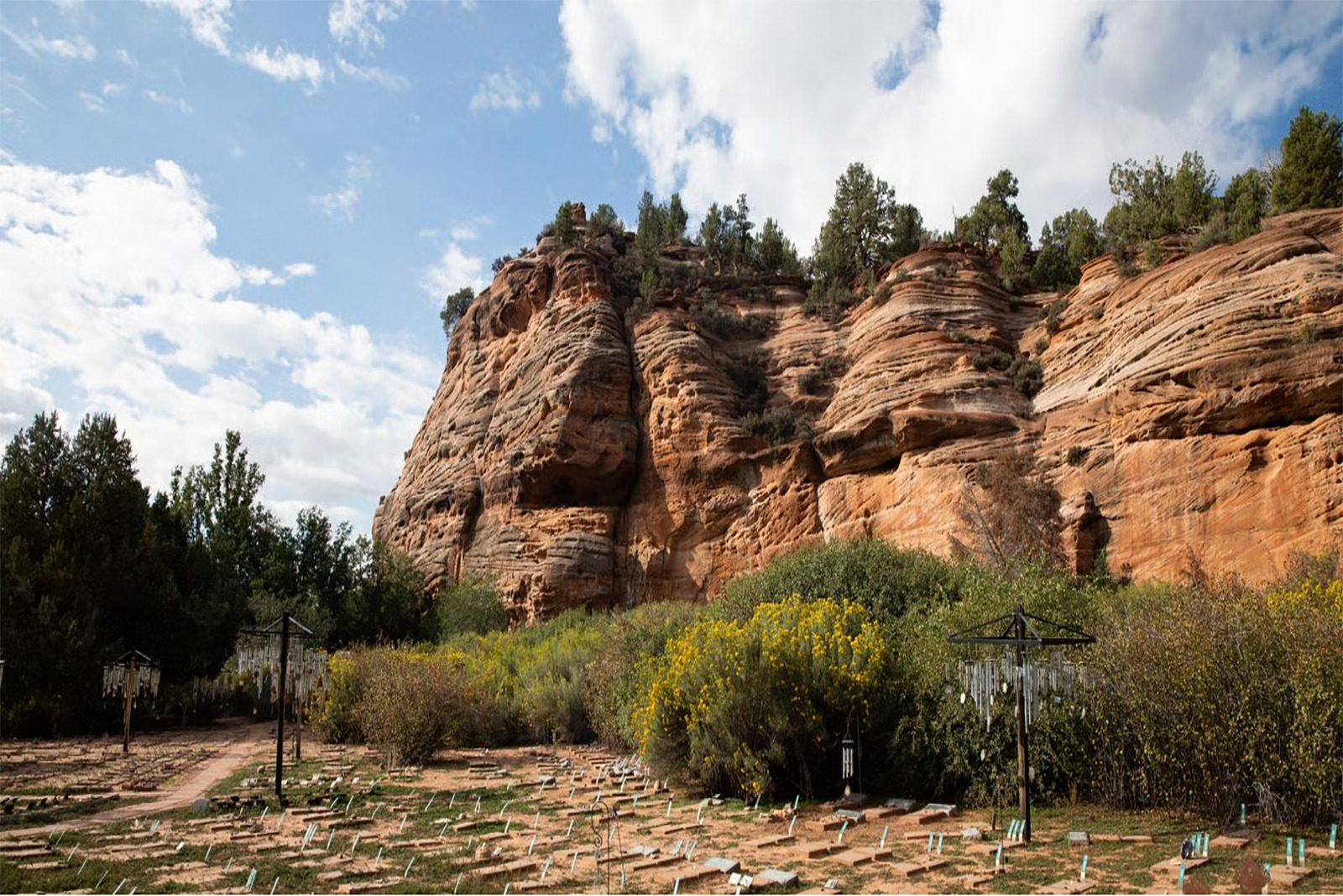 red rock animal sanctuary