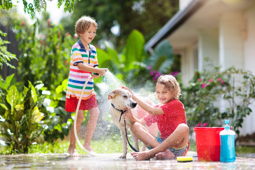 two boys bathing a dog in the yard