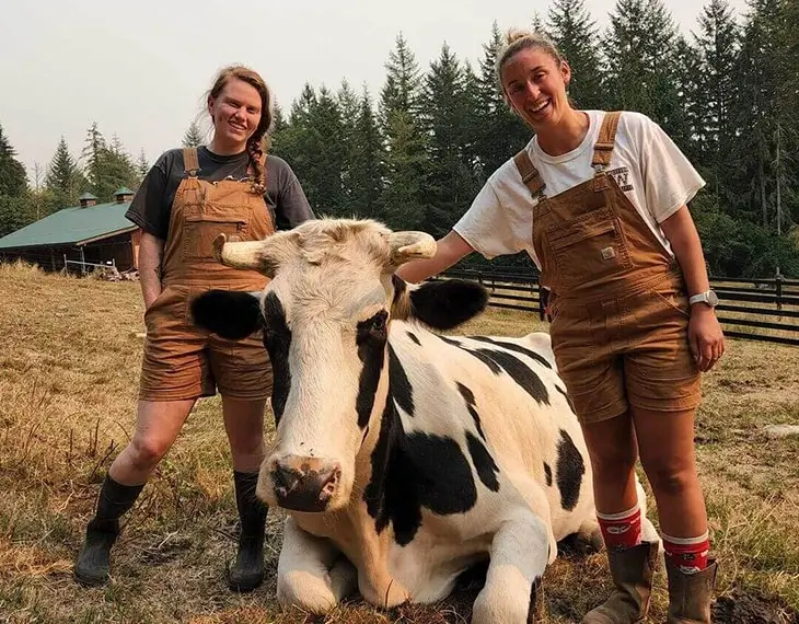 two women posing with cow