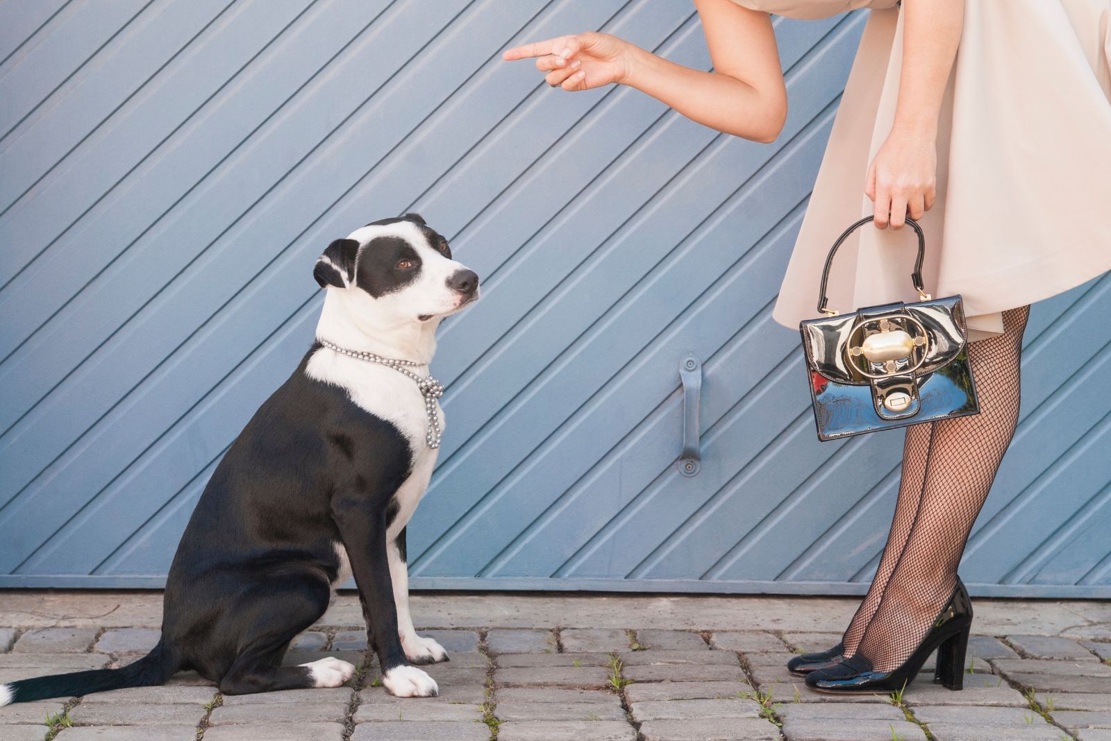 woman scolding a dog