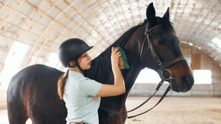 10 Non-Riding Activities To Bond With Your Horse