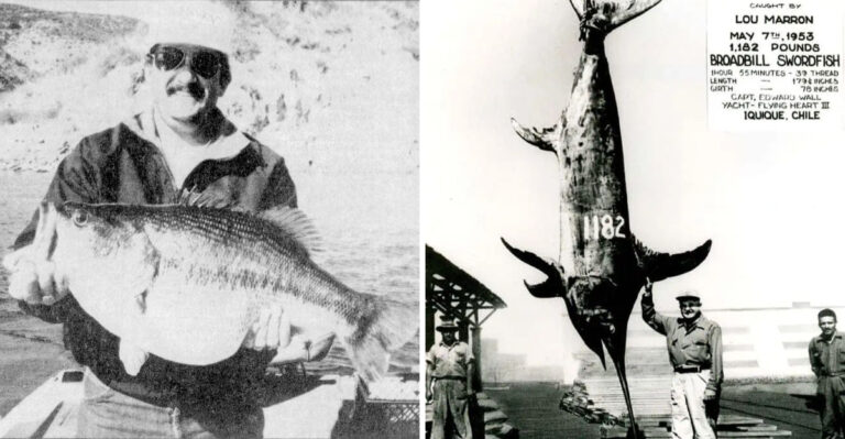 10 Iconic Fish Catches Across The United States You Have To See To Believe
