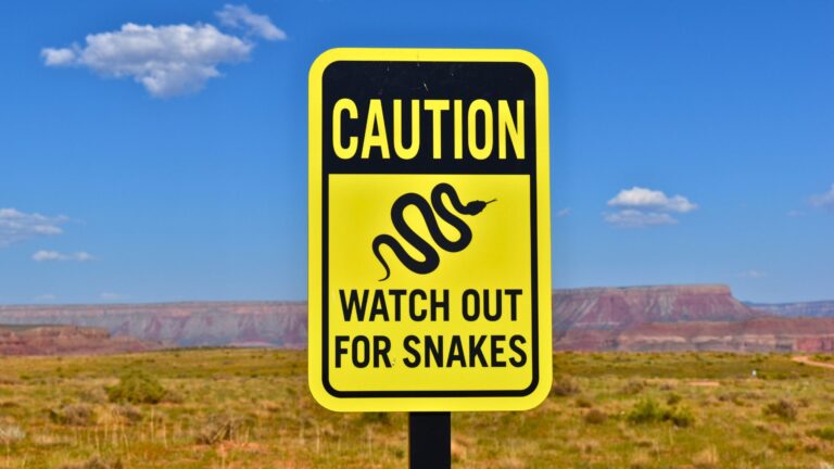 12 Most Snake-Infested National Parks In America