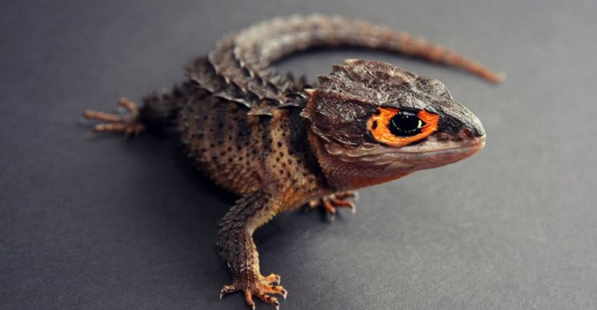 12 Smallest Reptiles You Won’t Believe Exist