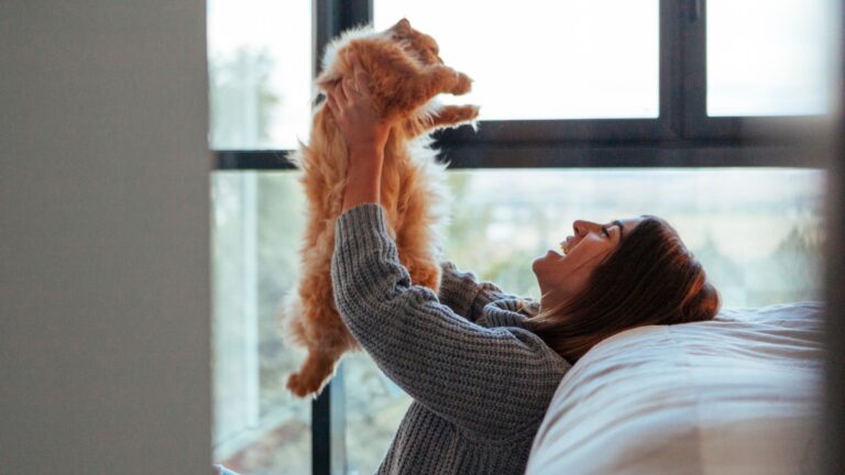 12 Ways Cats Improve The Quality Of Our Lives