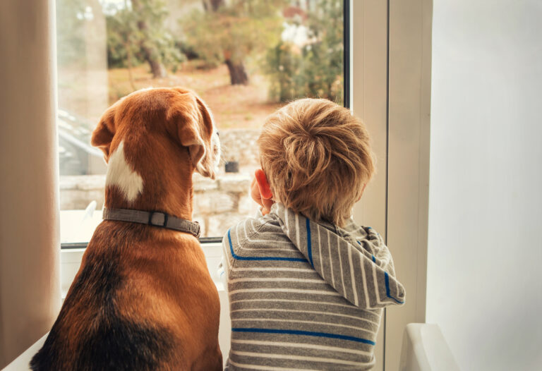 12 Ways Dogs Are Helping American Kids Learn Responsibility