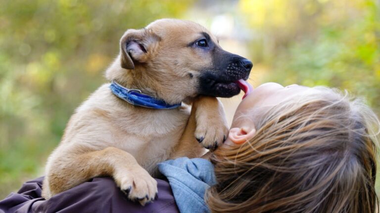 14 Clear Signs Your Puppy Is Bonding With You
