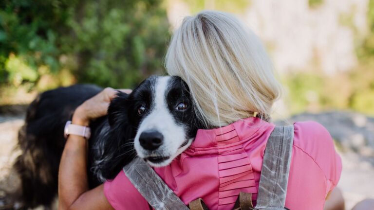 15 Amazing Benefits Of Having A Dog In Your Life