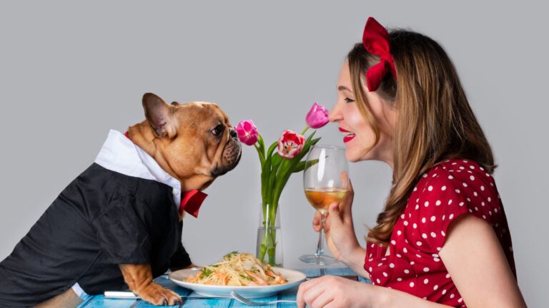 16 Ways To Spend Valentine's Day With Your Pet