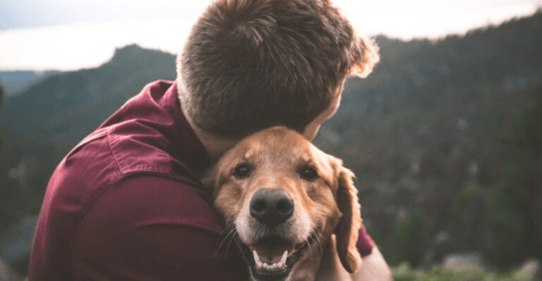 16 Small Acts Of Kindness Your Dog Does Without You Noticing